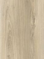 MDP CARVALHO MONTREAL